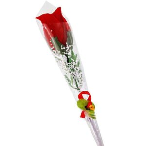 Single Rose