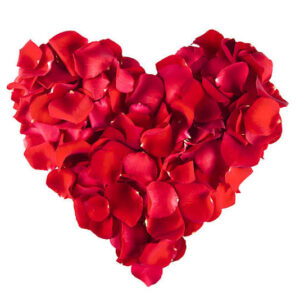 Rose Heart